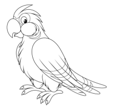 Розмальовка Папуга — Роздрукувати безкоштовно | #ТЕГ